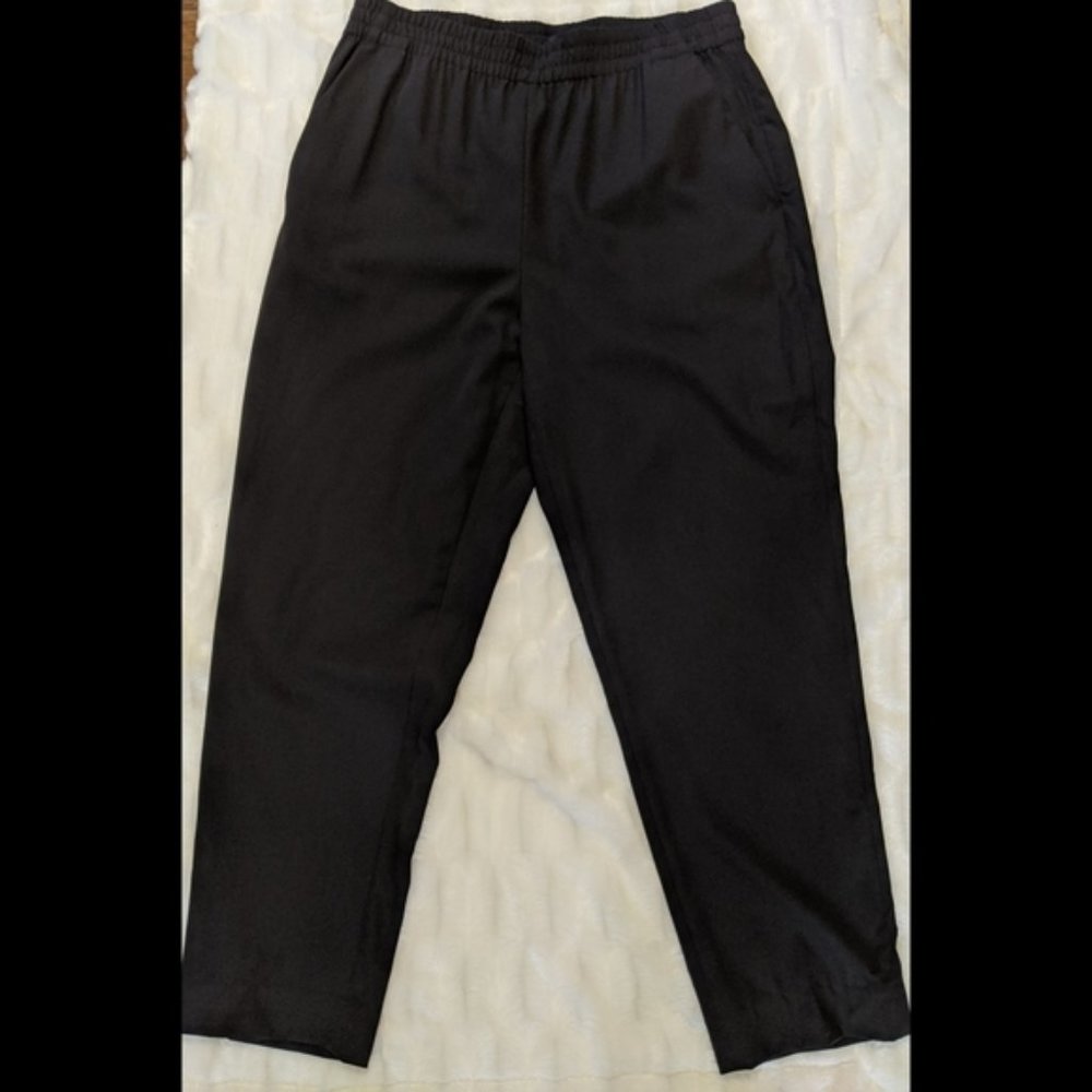Everlane Black Italian Go Weave Easy Pant 10